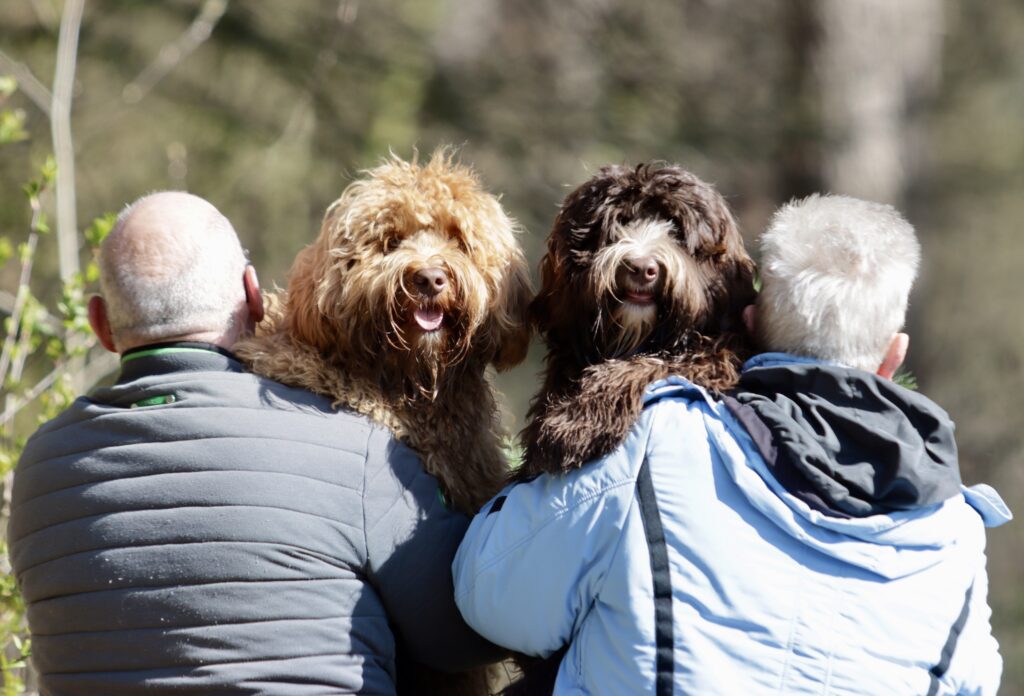 What is a Guardian Dog Home?