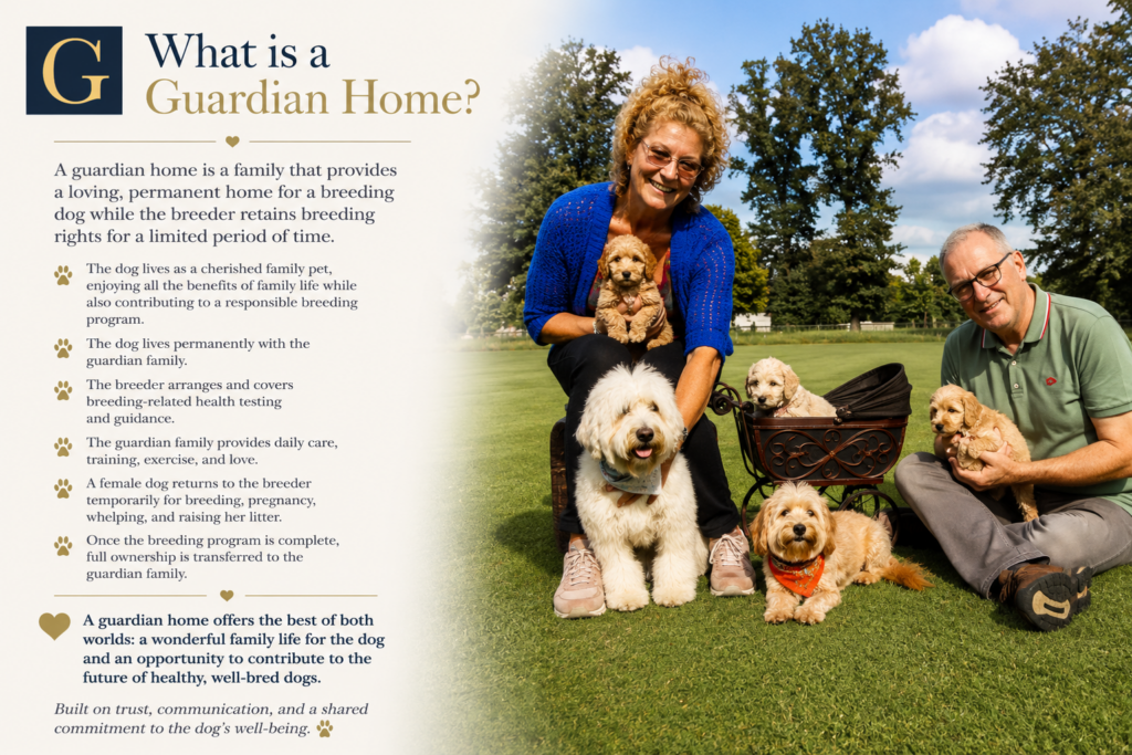 What is a Guardian Dog Home?